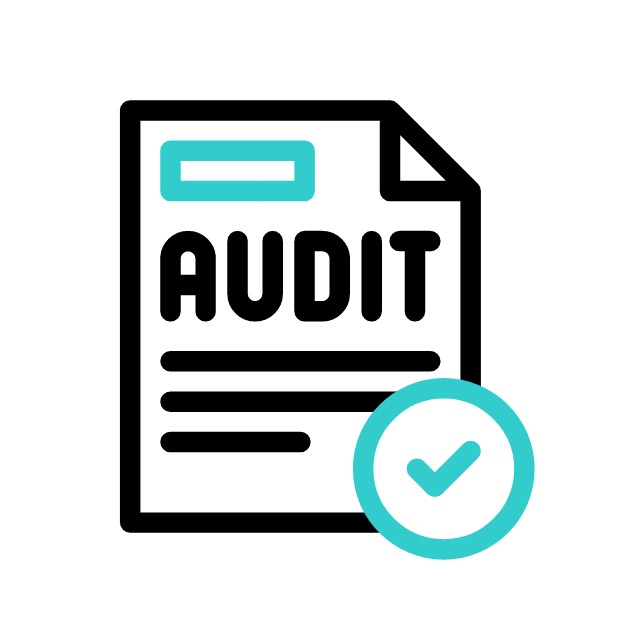 Audit